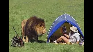 ما قبل الكارثة لحظات مرعبة سجلتها الكاميرا لكوارث حقيقة