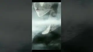 Красавчик с перекрестка 