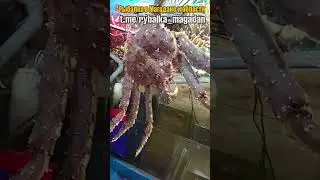 Покупаем краба в магазине и варим (Магадан)