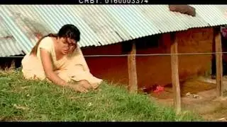 Jharyo Nimpatta