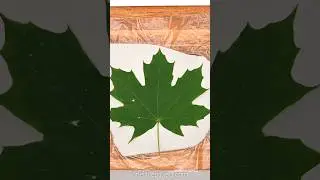 Clay Leaf Bowl 🍁