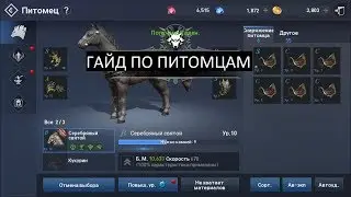 [Гайд][L2R] Питомцы в Lineage2: Revolution Получение, Флейты, Камни призыва, Шмотки, Квест, Заточка