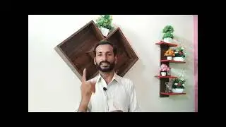Easypaisa company kitna profit deti he