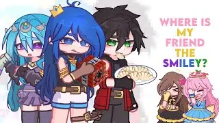 ⭐️﹒