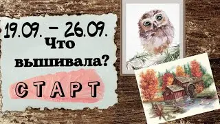 119. Продвижения за неделю | Dimensions, СТАРТ Овен 