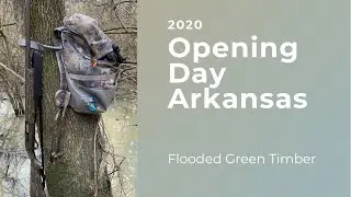 2020 Arkansas Opening Day Flooded Timber Duck Hunt