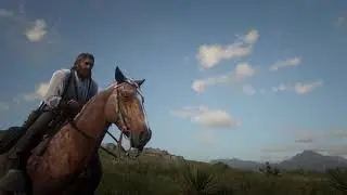 Arthur Morgan in Limbo.