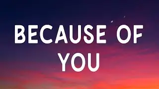 Kelly Clarkson - Because Of You (Lyrics)