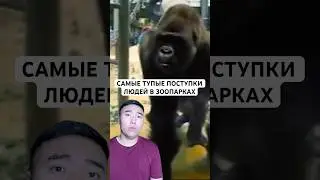 Самые Безумные Случаи в Зоопарках