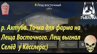 Russian Fishing 4. p. Akhtuba. Point for farm Bream East.