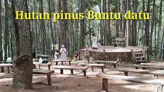 objek wisata hutan pinus
