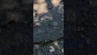 Concrete Pressure Washing Results - 24