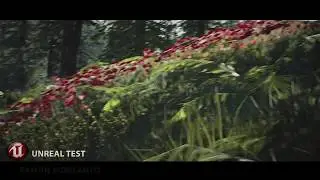 Dark Grass in Forest - Unreal Engine
