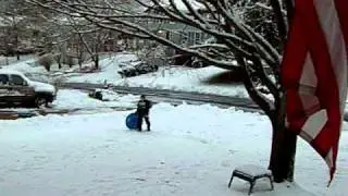 Jackson sledboarding