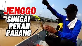 Mancing UDANG GALAH Sungai PEKAN Pahang !