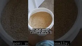 #homesteadingforbeginners