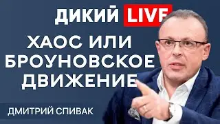 Не впадая в крайности. Дмитрий Спивак. ДИКИЙ LIVE.