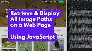 How to Retrieve and Display All Image Paths on any Web Page Using JavaScript?
