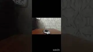 Лего анимация сборка корабля