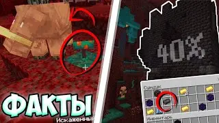 15 Малоизвестных ФАКТОВ о НИЖНЕМ МИРЕ в Майнкрафт. Minecraft Bedrock Edition & Java Edition