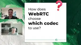 How does WebRTC choose which codec to use?