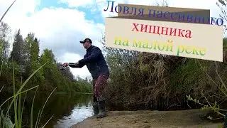 Ловля пассивного хищника на воблеры. Анимация и твичинг.