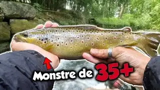 Je fais une ENORME TRUITE dans cette petite cascade ! (Pêche au bouchon)