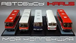 Автобусы Ikarus (