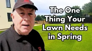 Revamping Spring Grass: Tips For A Greener Lawn