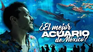 En México 🇲🇽 tenemos El ACUARIO MÁS GRANDE y MODERNO de LATINOAMÉRICA 🐟