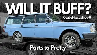 Can we save the paint on this Scotia Blue Volvo 245?