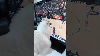 The greatest NBA CAT player of today 