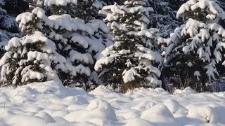 Пранк