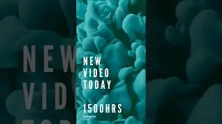 Color Trends 2024 | Interior design : Up on my channel!