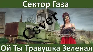Сектор Газа. Клип 