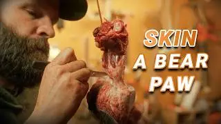 Skinning BEAR PAWs for a Bear Rug