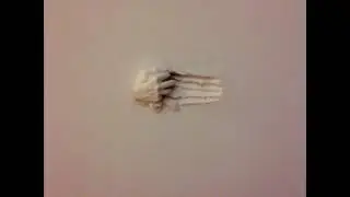 Мухаммад абу Усама   Не будьте грубыми