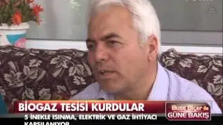 Bu da 