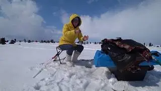 За зубарем на мальки / Рыбалка в марте