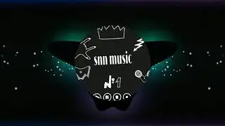 Bạn tình ơi( thầy bói nói là cưới e về) | SNN MUSIC