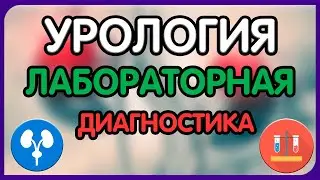 Урология.  Лекция 8. Диагностика урологических заболеваний. Лабораторные методы диагностики