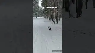 28 января 2024 г.