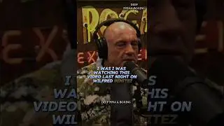 Joe Rogan talks about tragic later years of Boxer Wilfred Benitez