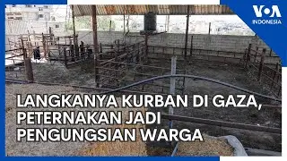 Iduladha di Gaza: 'Kami Kurbankan Diri Sendiri'