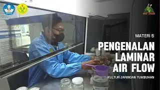 MATERI 5 PENGENALAN LAMINAR AIR FLOW