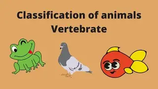 lecture#2 classification of animals. vertebrates||Grade 5th|| Important question|| Board exams.