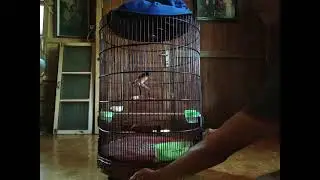 #vlog part2 si paser lg dokor 😮😮😮👍🏻
