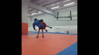 Самбо/Проход в ноги