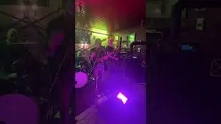 The Lap Dogs Live MK Bad Homburg  Germany Wicked Game