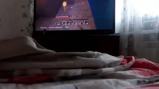 Истории про лагер